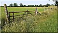 NY7812 : Fields on north side of River Belah divided by fence with gate by Roger Templeman