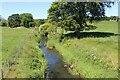 River Avon near Balmitchell