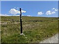 SJ0836 : The Celebration Post in memory of Wayfarer's crossing of the Berwyns by David Medcalf