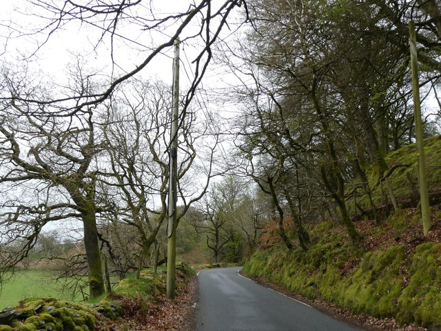 B4574 with hedgebanks near Hafod Forest © David Smith :: Geograph ...