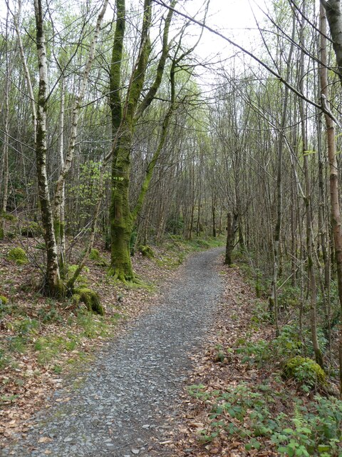 Path through woodland, Hafod Estate © David Smith cc-by-sa/2.0 ...