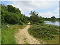 Path at Ham Common, Poole