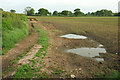 Arable field west of Beaulieu Wood