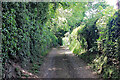 SJ5673 : Footpath near Norley Hall Farm by Jeff Buck