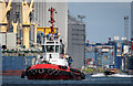 J3576 : Tug 'Masterman' at Belfast by Rossographer