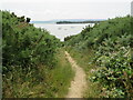 SY9890 : Poole Harbour Trail at Ham Common, Poole by Malc McDonald