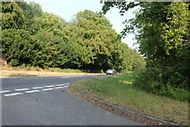 TL4953 : Cambridge Road by Wandlebury Country Park by David Howard