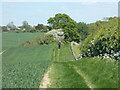 TL2617 : Public footpath between Bull's Green and Burnham Green by Peter S