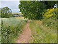 Footpath towards Letcombe Bassett