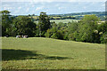 Pasture, East Meon