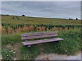 West Challow millennium bench