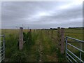 Footpath towards Silver Lane