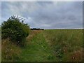 Footpath towards Kingston Lisle