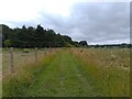 Footpath towards Kingston Lisle