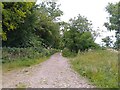 Footpath towards Kingston Lisle