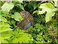 Drinking water tap by the Ridgeway plaque