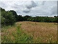 North Worcestershire Path near Little Hobro