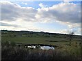 Pond near Chilson Farm