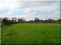 Grazing and hedgerow near Heath Farm