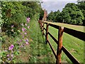 Path to Blakeshall Lane in Wolverley