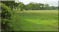 Field near Duntish