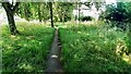 Path in woodland between Clifton Lane and Gardendale Avenue