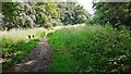 Footpath in Clifton Grove Nature Reserve