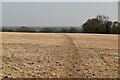 Footpath across field