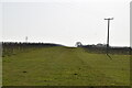 Saxon Shore Way, Gusbourne Estate