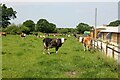 Public Footpath to Onston