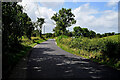 Shadows along Tullyrush Road