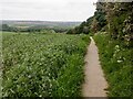 Path, Lees Hill