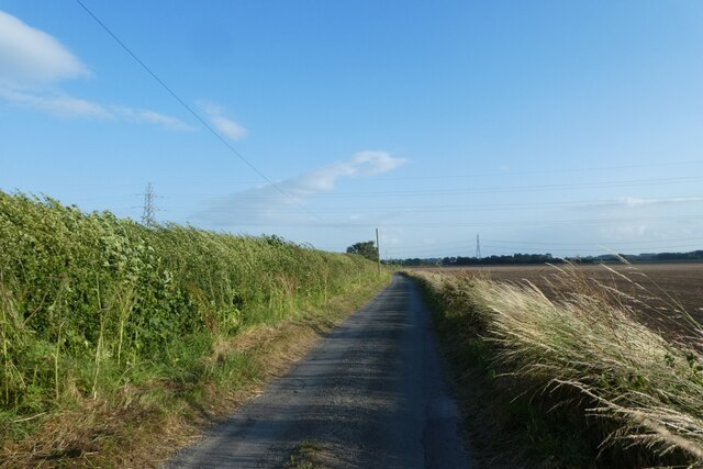 New Lane on a windy evening © DS Pugh :: Geograph Britain and Ireland