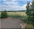 5-bar field gate, Broad Oak, Herefordshire