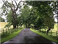 Road towards Kilbryde Castle