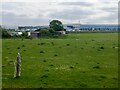 Field on the edge of Hoyland
