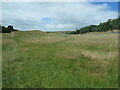 Pasture below Stainforth Scar