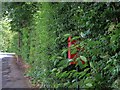 Post box and pavement