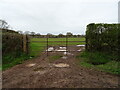 Field entrance of Knighton Lane