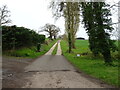 Track to Westol Hall Farm