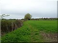 Millennium Way footpath near Moorend Barn