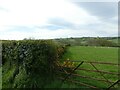 Field and gate with view south near Dol-Fadog chapel