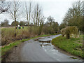 Fennes Road with school group