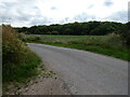 Long Coppice woodland viewed from road leading to Wilderley Hall