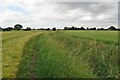 Drainage ditch between two barley fields