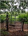 Kissing gate along the Habberley Valley Circular Walk