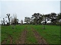 Farm track, Kimbolton