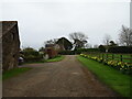 Farm track, Englefield