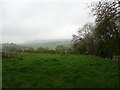 Grazing near Lower Doddenhill Farm