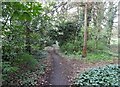 Path towards the Heath Hotel